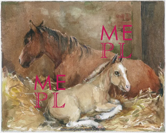  : Foal lying down with mare in stable