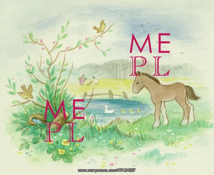  : Foal by a pond