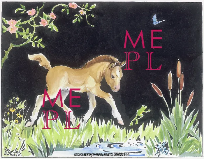  : Foal beside a pool with jumping frog