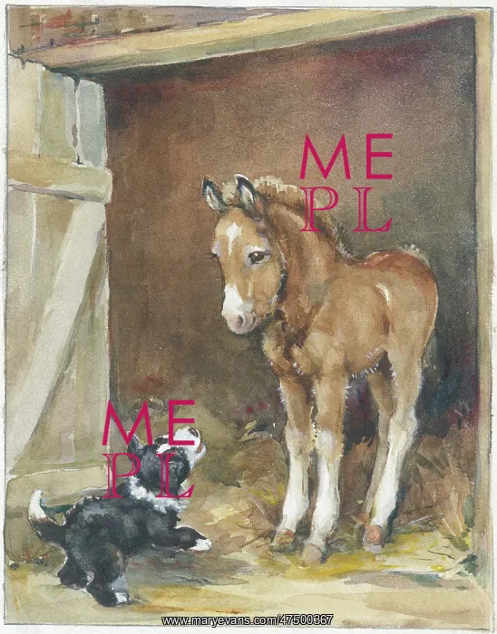 : Foal and puppy : Foal and puppy