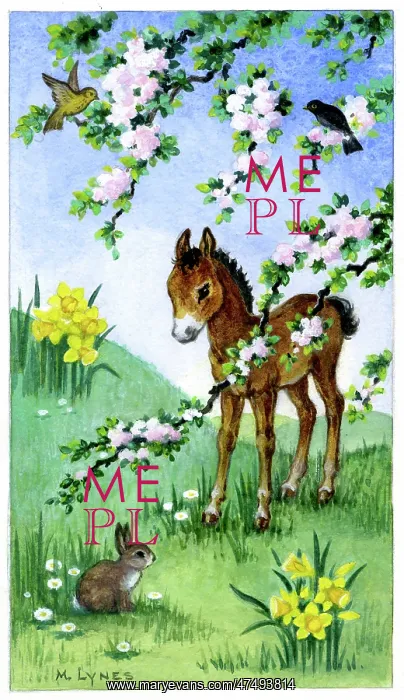 : Foal with rabbit, birds, daffodils and blossom : Foal with rabbit, birds, daffodils and blossom