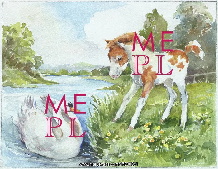  : Foal on river bank looking at a swan