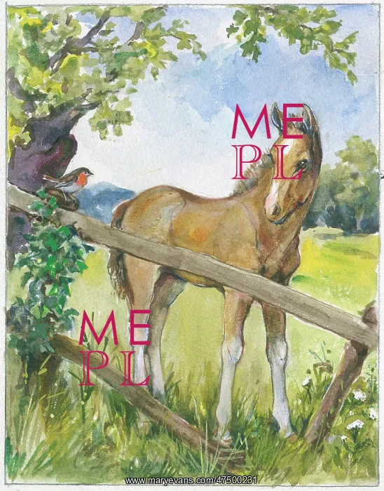  : Foal with robin on fence