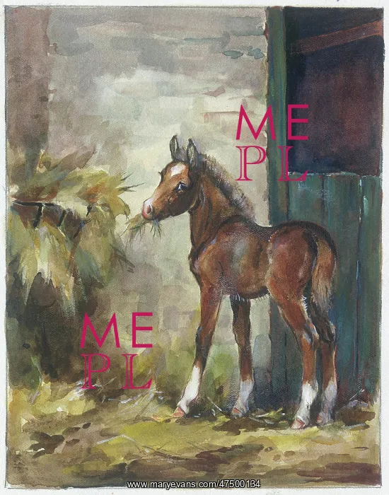  : Foal in a stable eating hay