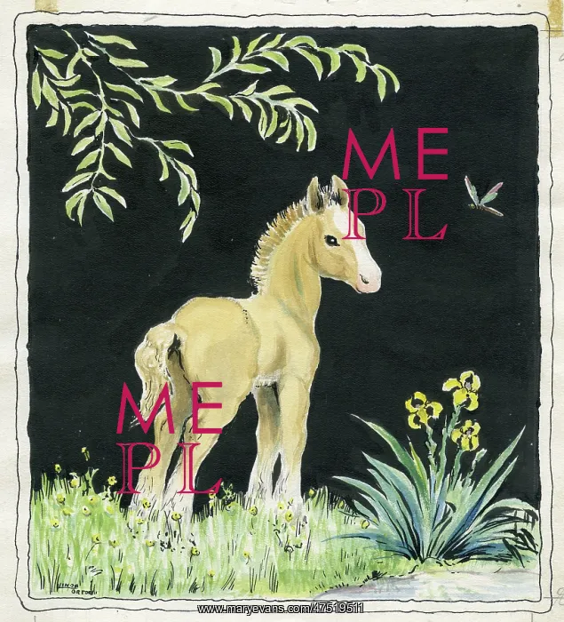  : Foal by a stream, with irises and dragonfly