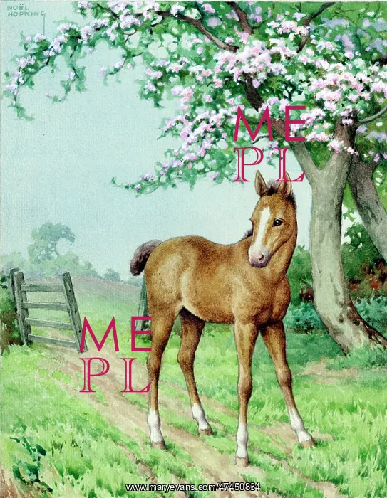  : A Foal with a tree in blossom