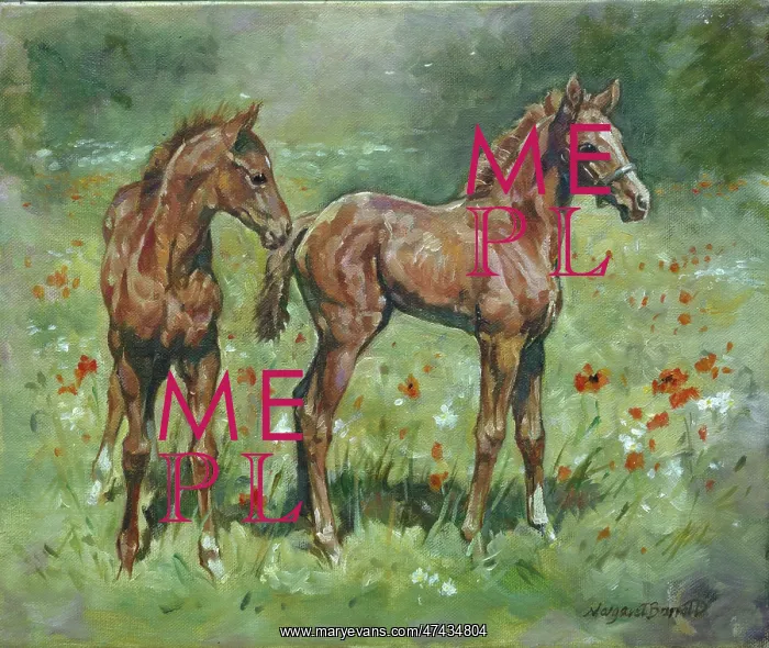  : Two Foals. Future Champions - two foals in a poppy field