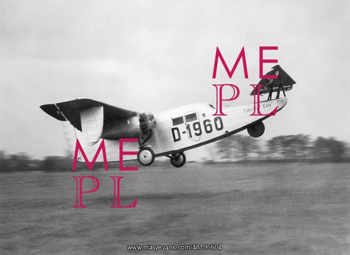 : Focke Wulf F-19 duck : Focke Wulf F-19 duck