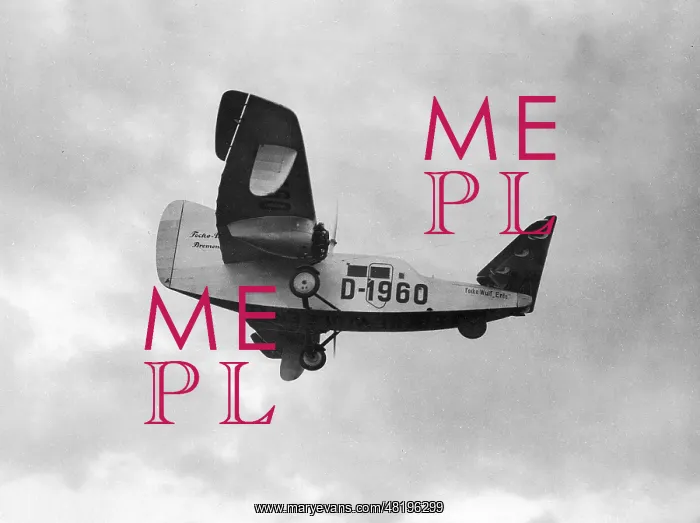: Focke Wulf F-19 duck : Focke Wulf F-19 duck