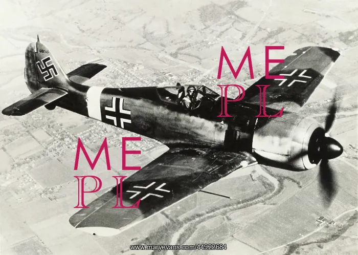 : Focke Wulf FW-190 : Focke Wulf FW-190