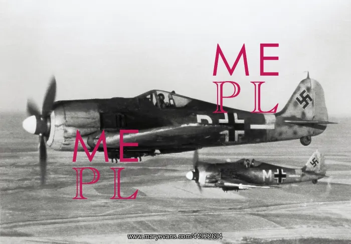 : Focke Wulf FW-190 : Focke Wulf FW-190