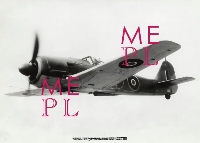 : Focke Wulf FW-190 : Focke Wulf FW-190