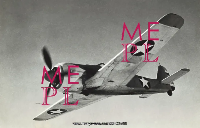 : Focke Wulf FW-190 : Focke Wulf FW-190