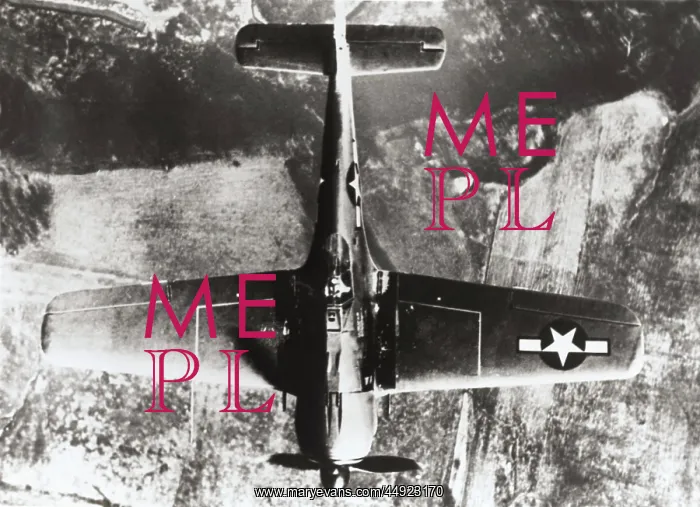 : Focke Wulf FW-190 : Focke Wulf FW-190