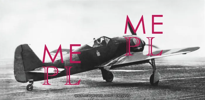 : Focke Wulf FW-190 : Focke Wulf FW-190