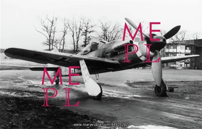 : Focke Wulf FW-190 : Focke Wulf FW-190