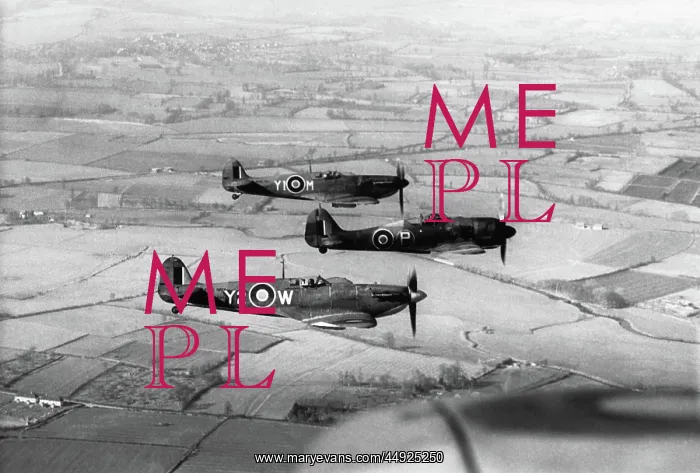 : Focke Wulf FW-190 : Focke Wulf FW-190