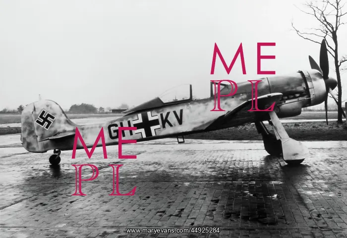 : Focke Wulf FW-190 : Focke Wulf FW-190