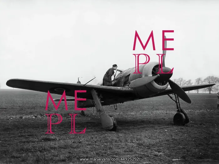 : Focke Wulf FW-190 : Focke Wulf FW-190