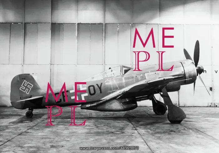 : Focke Wulf FW-190 : Focke Wulf FW-190