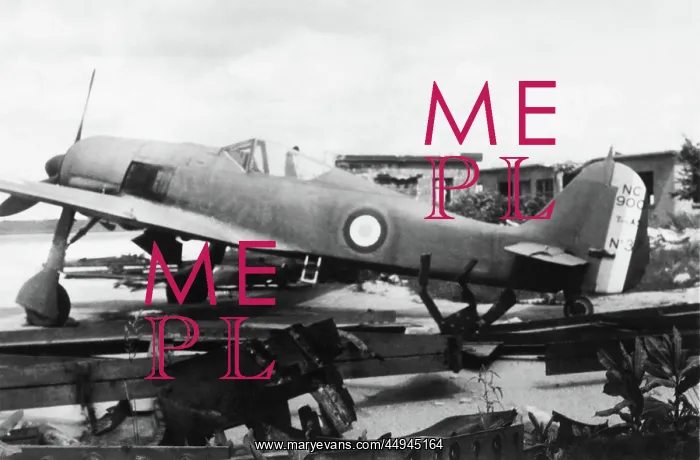 : Focke Wulf FW-190 : Focke Wulf FW-190