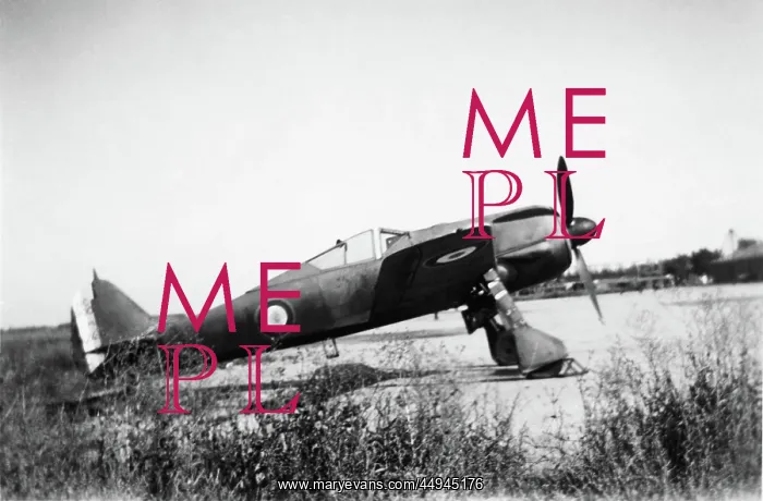 : Focke Wulf FW-190 : Focke Wulf FW-190