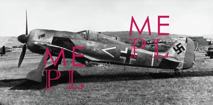 : Focke Wulf FW-190 : Focke Wulf FW-190