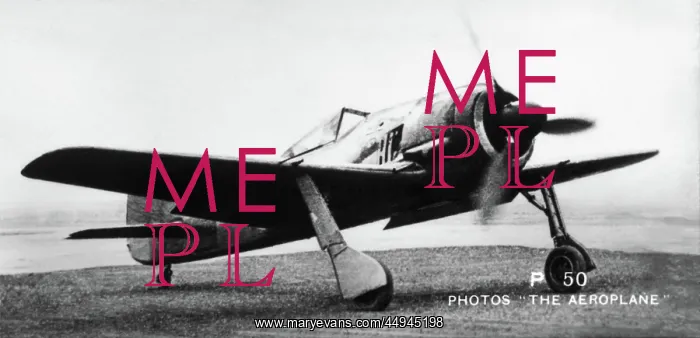 : Focke Wulf FW-190 : Focke Wulf FW-190