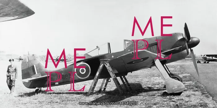 : Focke Wulf FW-190 : Focke Wulf FW-190