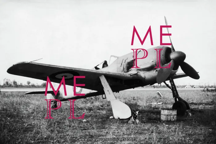 : Focke Wulf FW-190 : Focke Wulf FW-190