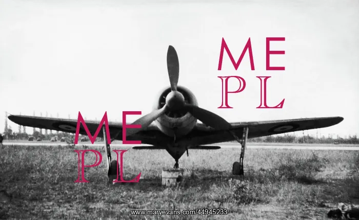 : Focke Wulf FW-190 : Focke Wulf FW-190