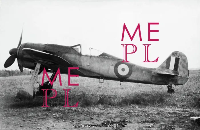 : Focke Wulf FW-190 : Focke Wulf FW-190