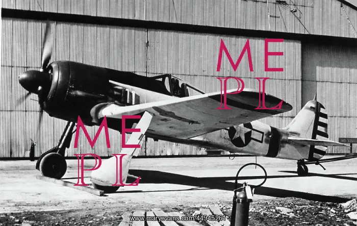 : Focke Wulf FW-190 : Focke Wulf FW-190