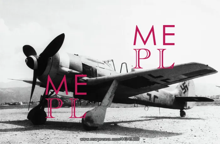 : Focke Wulf FW-190 : Focke Wulf FW-190