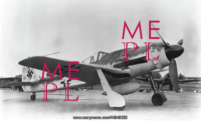 : Focke Wulf FW-190 : Focke Wulf FW-190