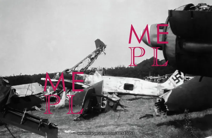  : Focke Wulf FW-190