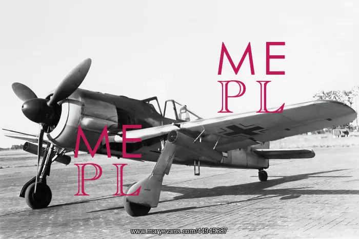 : Focke Wulf FW-190 : Focke Wulf FW-190
