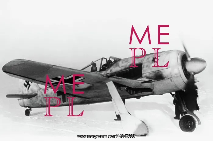 : Focke Wulf FW-190 : Focke Wulf FW-190