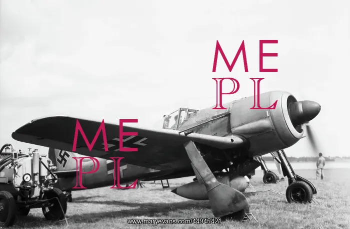: Focke Wulf FW-190 : Focke Wulf FW-190