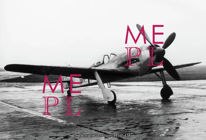 : Focke Wulf FW-190 : Focke Wulf FW-190