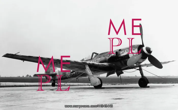 : Focke Wulf FW-190 : Focke Wulf FW-190