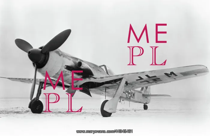 : Focke Wulf FW-190 : Focke Wulf FW-190