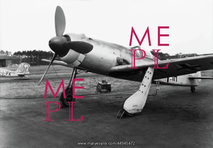 : Focke Wulf FW-190 : Focke Wulf FW-190