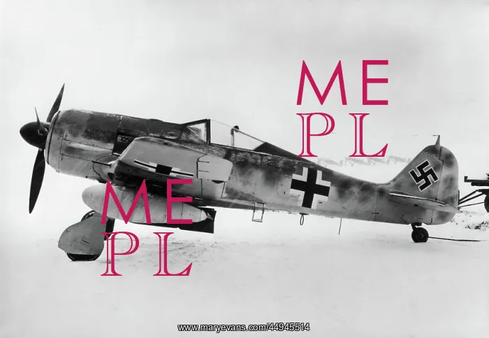 : Focke Wulf FW-190 : Focke Wulf FW-190