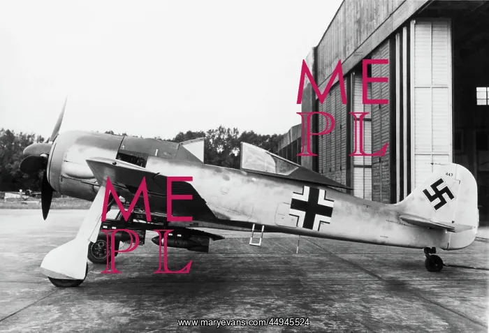 : Focke Wulf FW-190 : Focke Wulf FW-190
