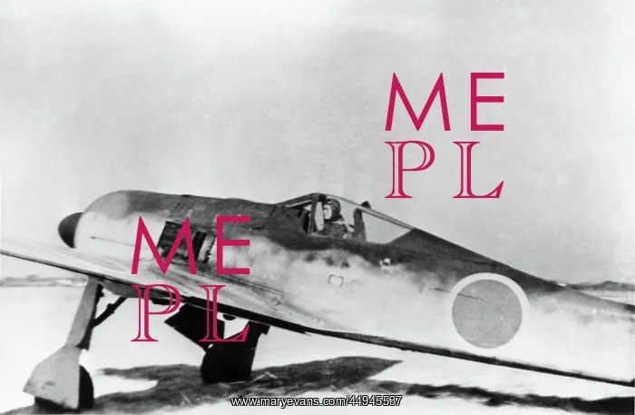 : Focke Wulf FW-190 : Focke Wulf FW-190