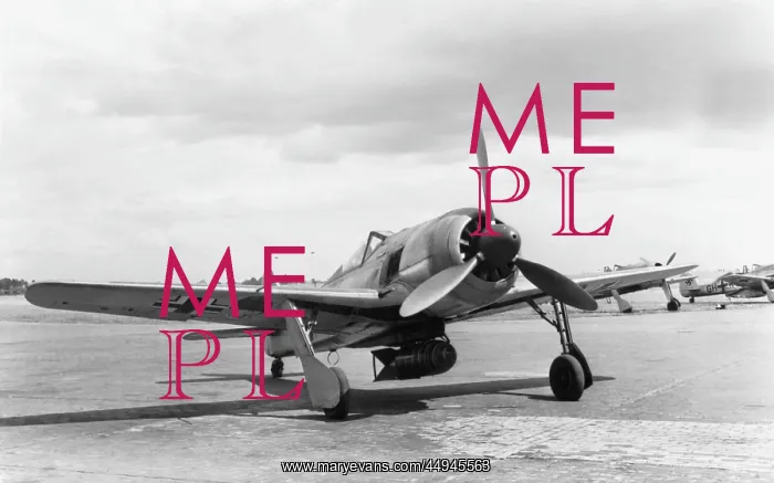 : Focke Wulf FW-190 : Focke Wulf FW-190