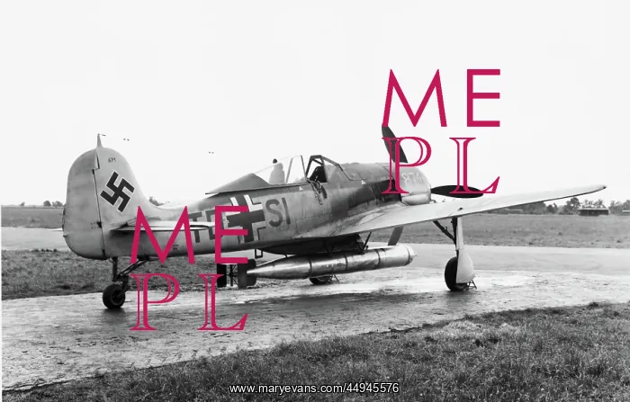 : Focke Wulf FW-190 : Focke Wulf FW-190