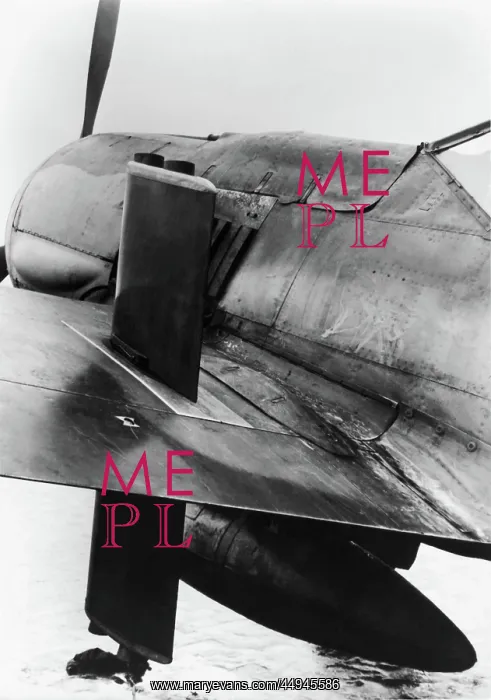 : Focke Wulf FW-190 : Focke Wulf FW-190