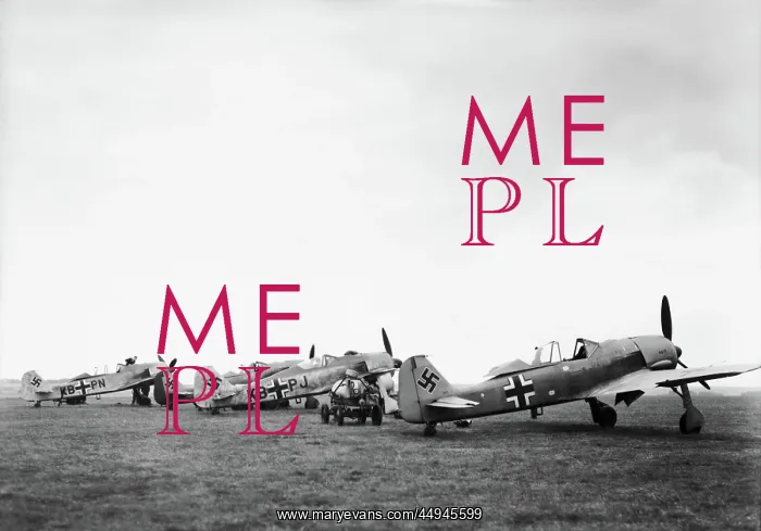 : Focke Wulf FW-190 : Focke Wulf FW-190